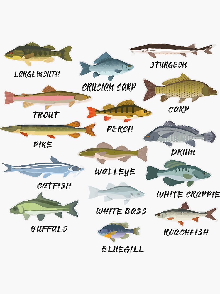 Types Of Freshwater Fish Species Fishing T-Shirt | Sticker