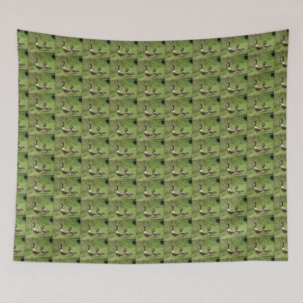 Item preview, Canada Goose and Juveniles Photograph designed and sold by naturegallery.