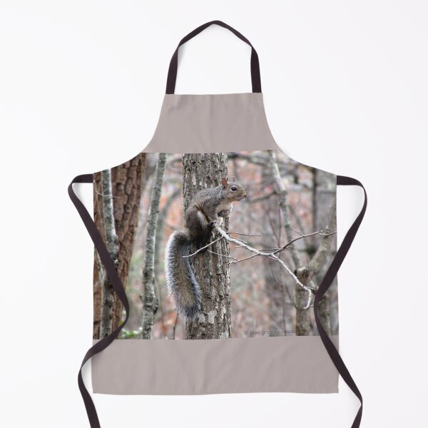 Item preview, Eastern Gray Squirrel in Winter Camouflage designed and sold by Jean Gregory Evans.