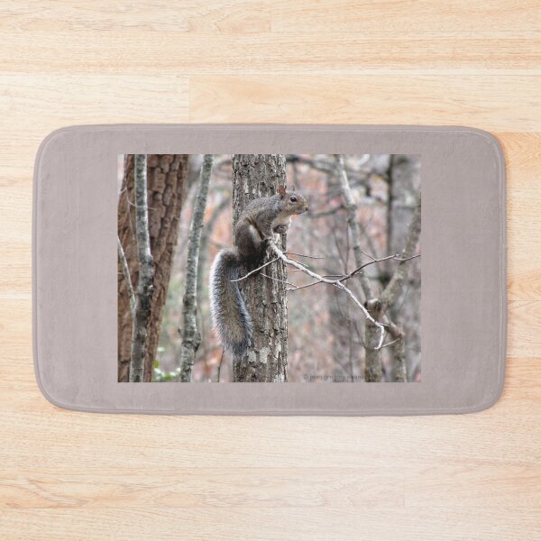 Item preview, Eastern Gray Squirrel in Winter Camouflage designed and sold by Jean Gregory Evans.