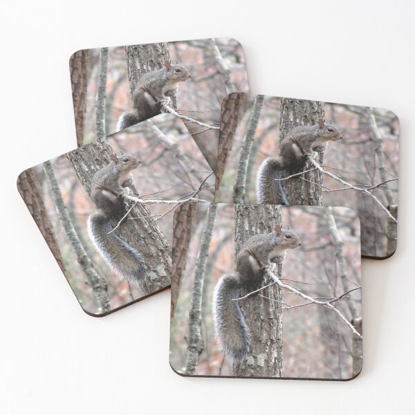 Item preview, Eastern Gray Squirrel in Winter Camouflage designed and sold by Jean Gregory Evans.