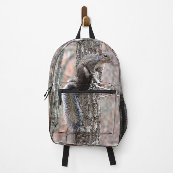 Item preview, Eastern Gray Squirrel in Winter Camouflage designed and sold by Jean Gregory Evans.