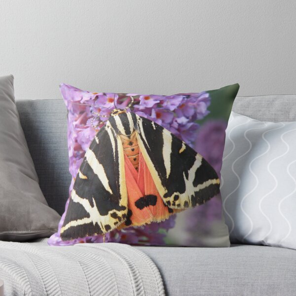 Item preview, Jersey Tiger Moth and Buddleia Photograph designed and sold by naturegallery.