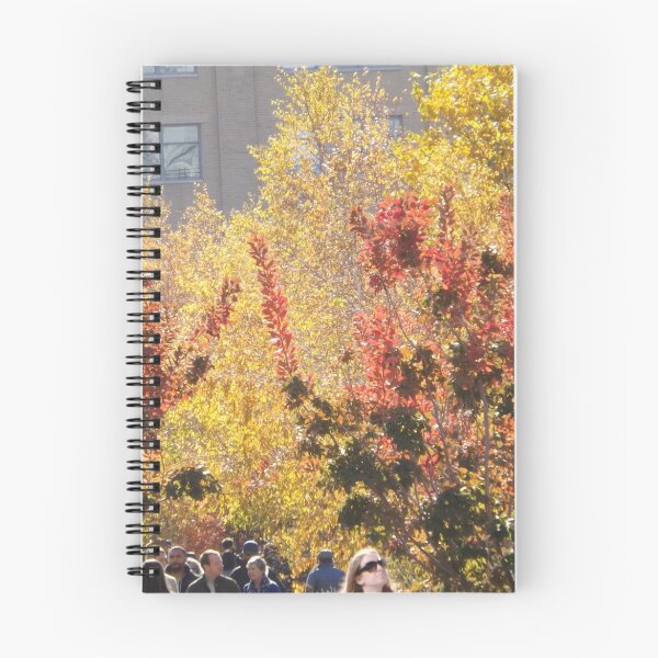 Item preview, Autumn Colors, New York City designed and sold by lenspiro.