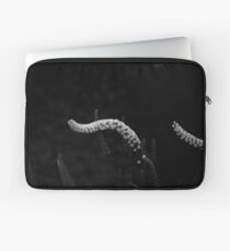 Funda para portátil Curly plant tails