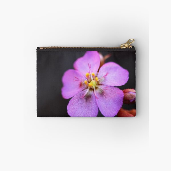 Item preview, Drosera spatulata designed and sold by andrachne.