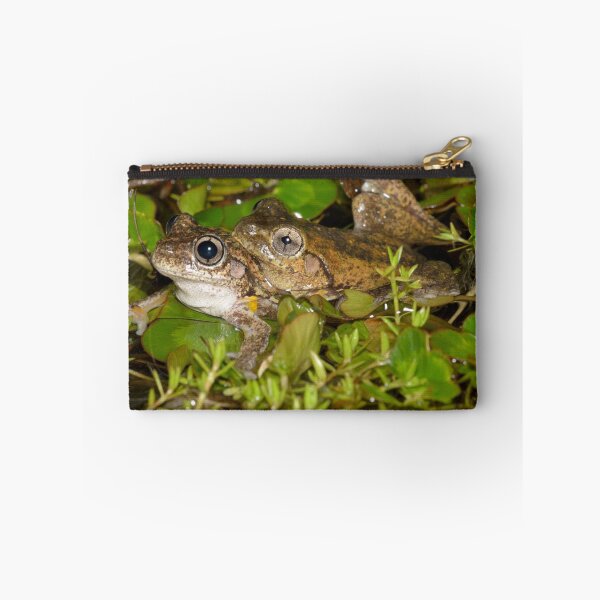 Item preview, Mating Peron's Tree Frogs - Litoria peronii designed and sold by Andrew Trevor-Jones.