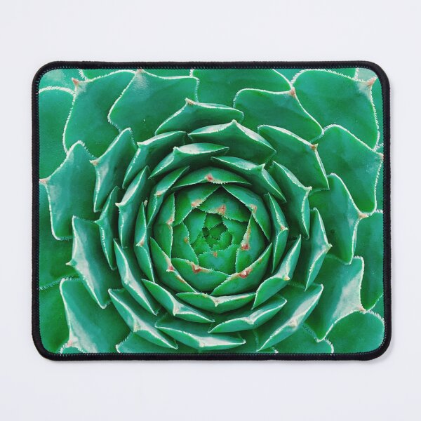 Item preview, Perfectly symmetrical green succulent designed and sold by DeVeauDesign.