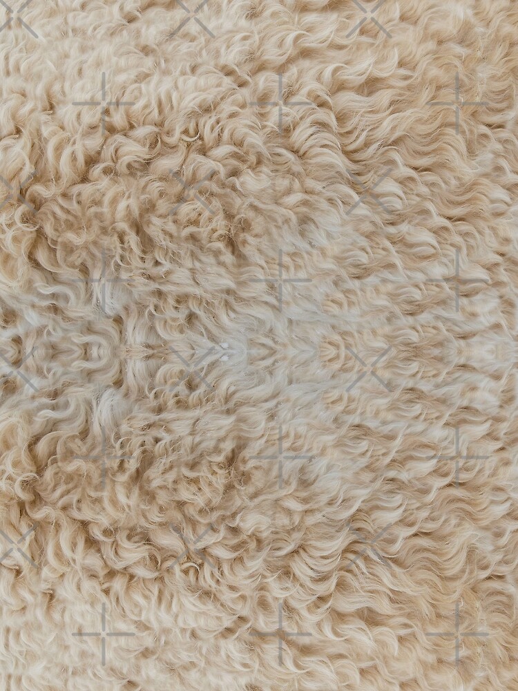 lana de oveja de FotoLibreStudio
