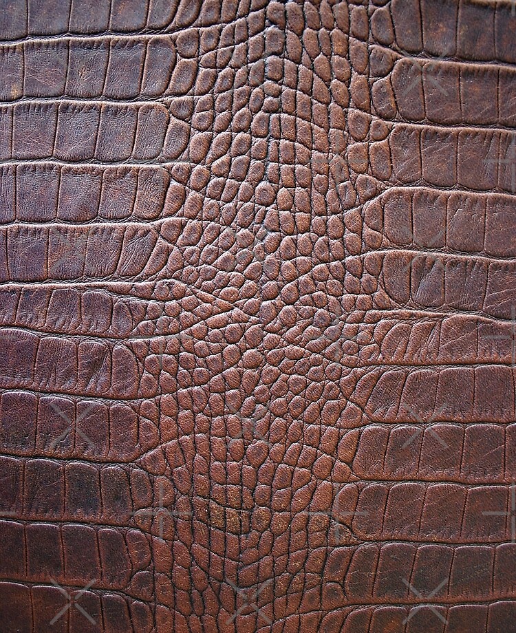 Alligator Leather iPad Mini Case with Dragon