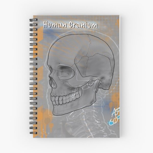 Item preview, Human Cranium designed and sold by AdaptablePolar.