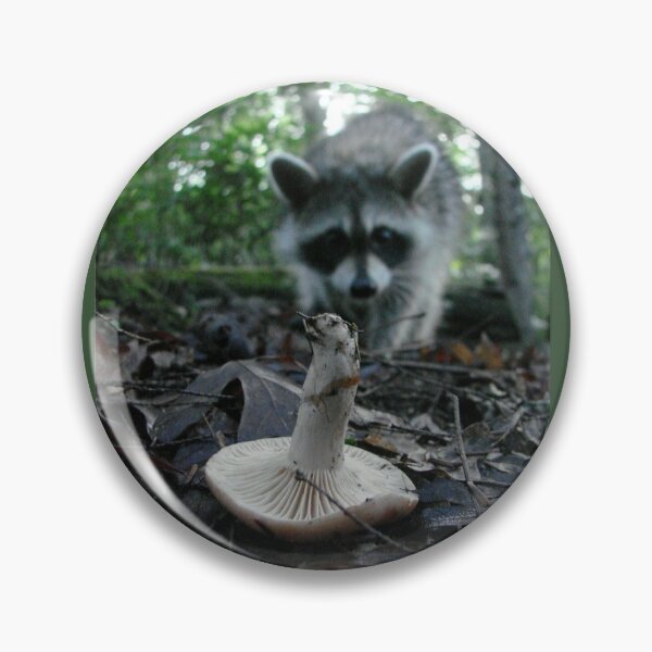 Item preview, Wild Mushrooming Raccoon designed and sold by Jean Gregory Evans.