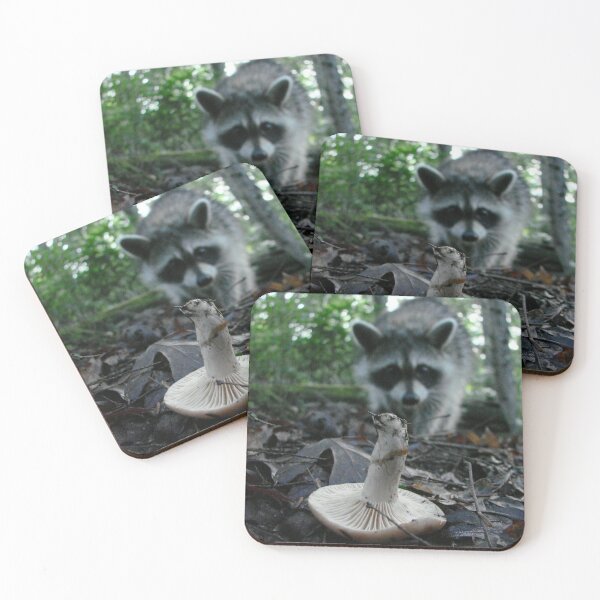 Item preview, Wild Mushrooming Raccoon designed and sold by Jean Gregory Evans.