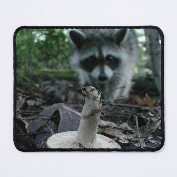 Item preview, Wild Mushrooming Raccoon designed and sold by Jean Gregory Evans.