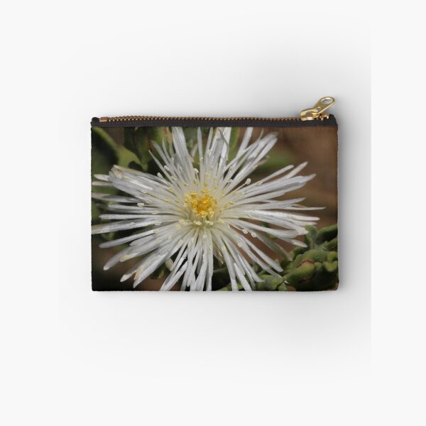 Item preview, Brakslaai - Mesembryanthemum guerichianum - Ice Plant    designed and sold by Rina Greeff.