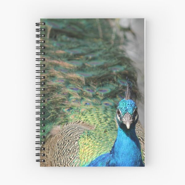 Item preview, An Approaching Peacock designed and sold by LINAJAMISON.