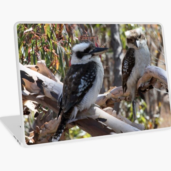 Kookaburras Laptop Skin