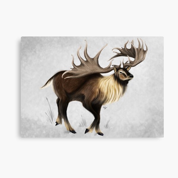 Giant Elk Canvas Prints for Sale | Redbubble
