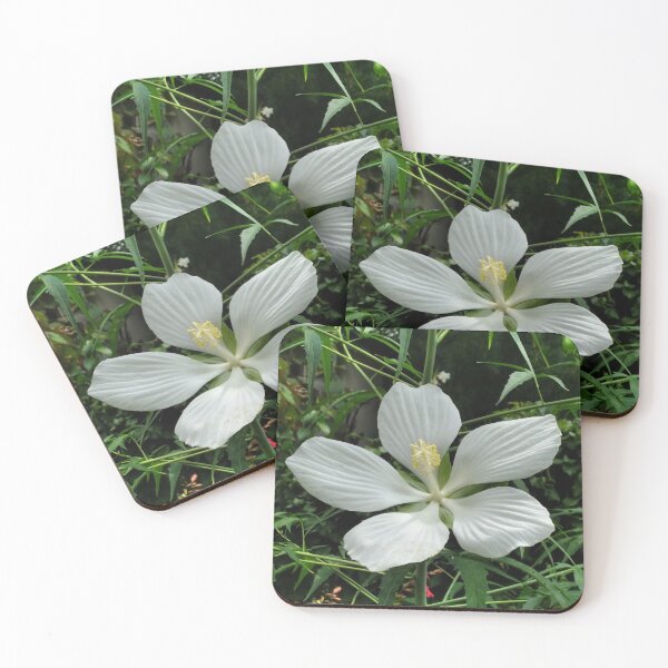 Item preview, The White Hibiscus designed and sold by Betty Mackey.