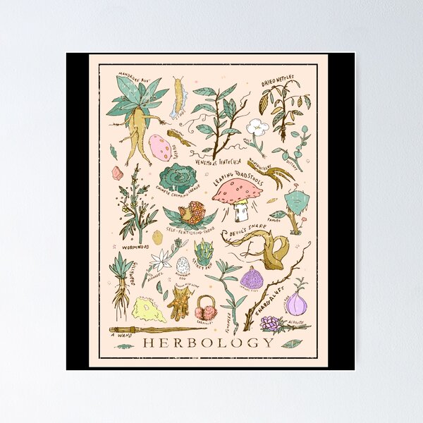 Item preview, herbology plant  designed and sold by hedatla.