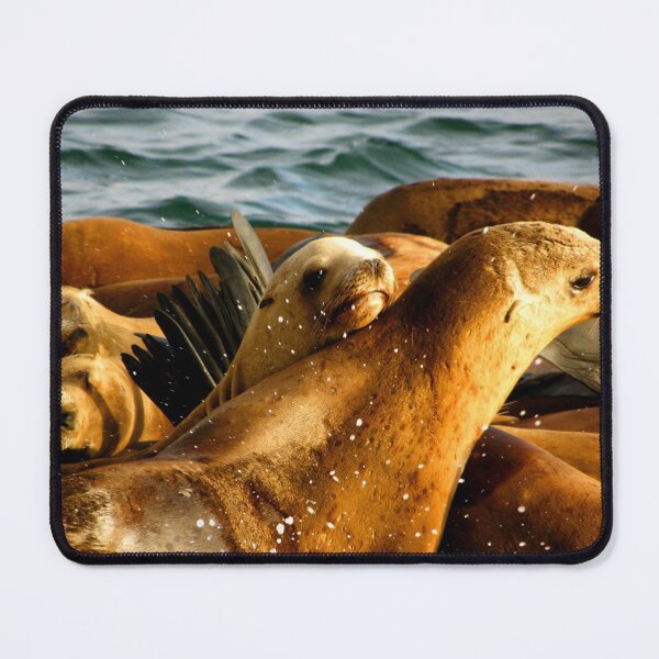 Item preview, Sea Lions designed and sold by soyrwoo.