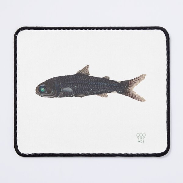 Item preview, Green-Eyed Lantern Fish  designed and sold by WCS-Archives.