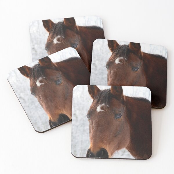Item preview, Thoroughbred Love (Photography: Unfiltered) designed and sold by Lori Ackley.