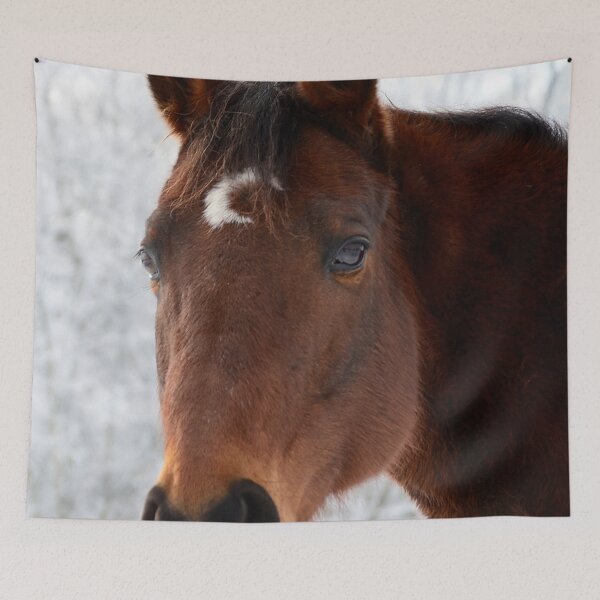 Item preview, Thoroughbred Love (Photography: Unfiltered) designed and sold by Lori Ackley.