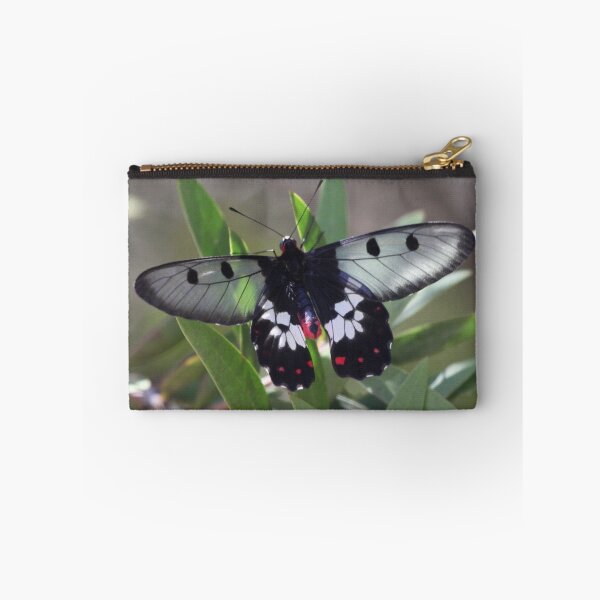 Aperçu de l'œuvre Rainforest Butterfly créée et vendue par Karry Smith.