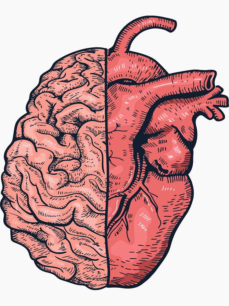 human brain | Sticker