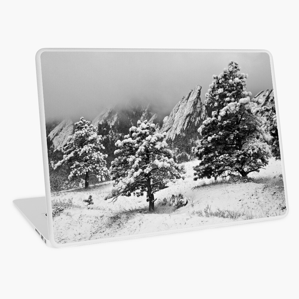 Item preview, Laptop Skin designed and sold by nikongreg.