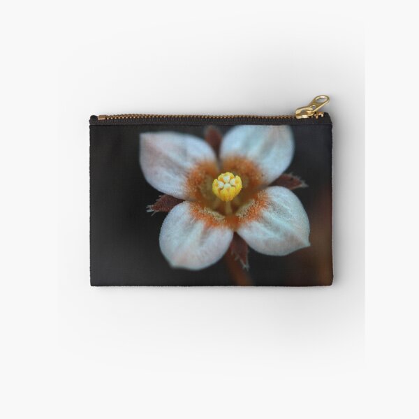 Item preview, Mitrasacme paludosa designed and sold by andrachne.