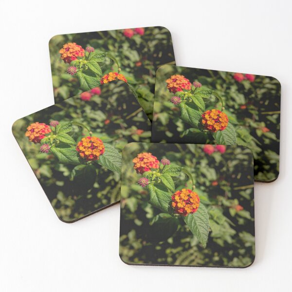 Item preview, Lantana camara designed and sold by dirk hinz.