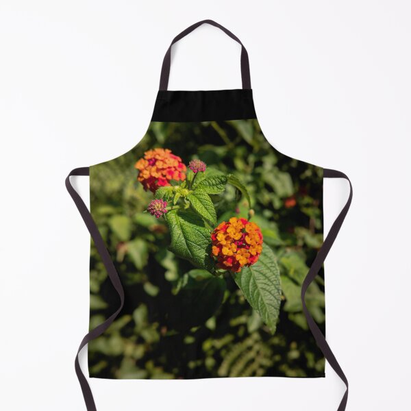 Item preview, Lantana camara designed and sold by dirk hinz.