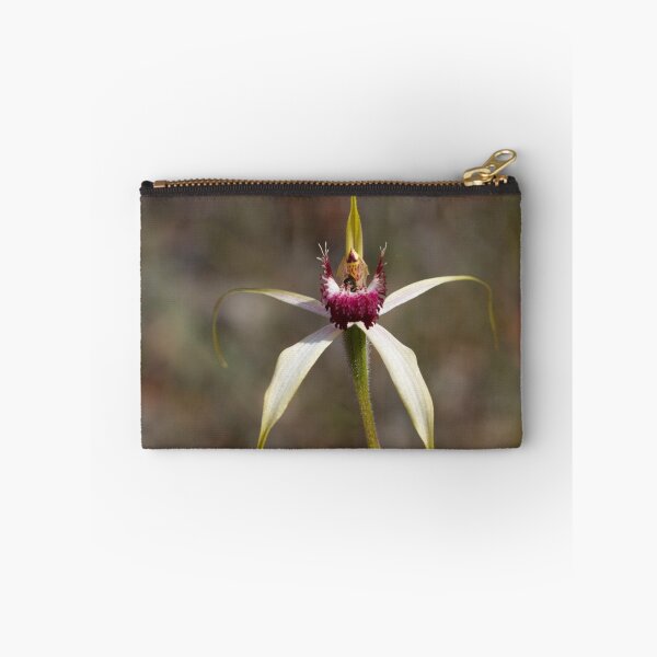 Item preview, Heberle's Spider Orchid designed and sold by pennyswork.
