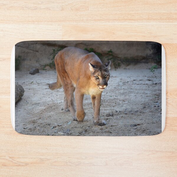 Item preview, Mountain Lion designed and sold by Savannah Gibbs.