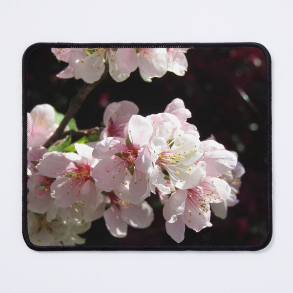 Item preview, plum blossom designed and sold by Floralynne.