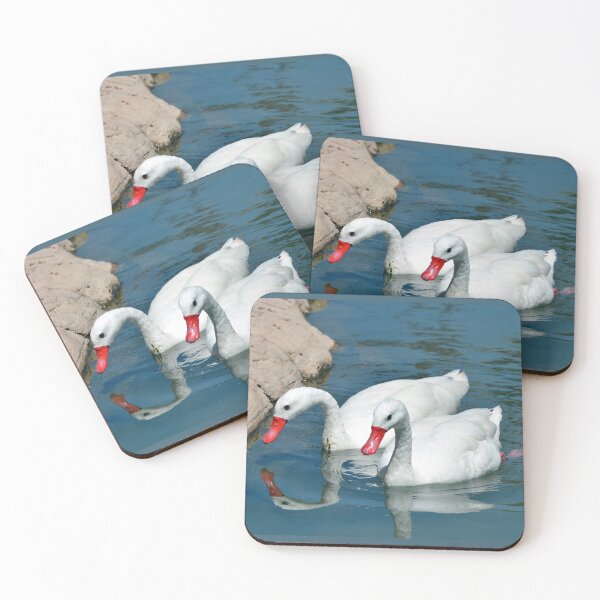 Item preview, Coscoroba Swans designed and sold by Savannah Gibbs.