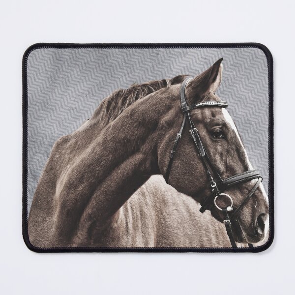 Item preview, BLAZE AND BRIDLE designed and sold by Urbaun.