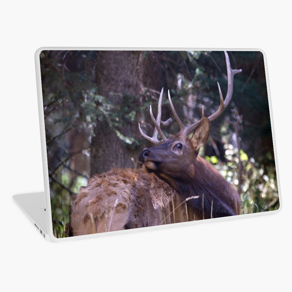 Elk Twisting Stare Laptop Skin