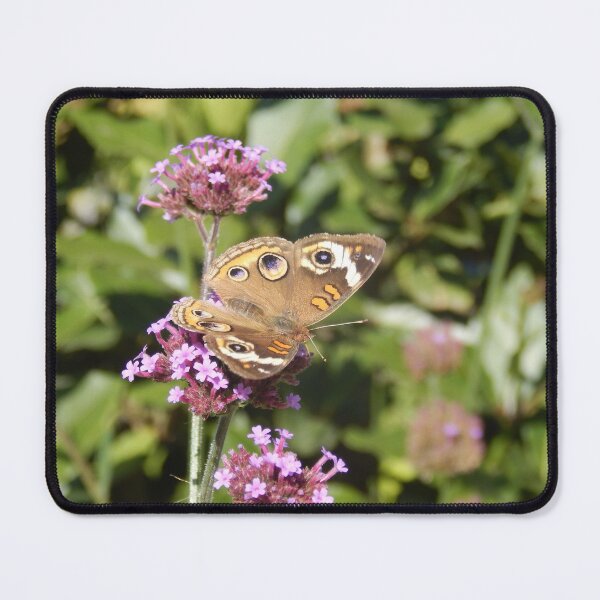 Item preview, Buckeye Butterfly in Autumn designed and sold by Kathleen Brant.
