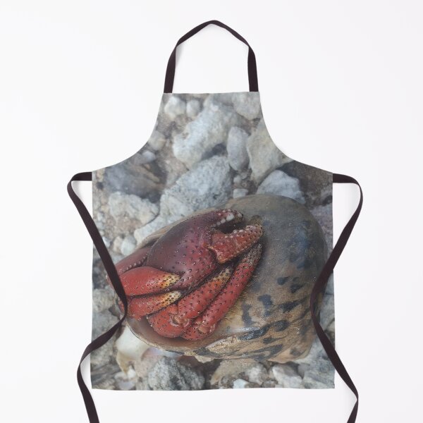 Item preview, Long Island Baha Soldier Crab designed and sold by SaSaBoutique.