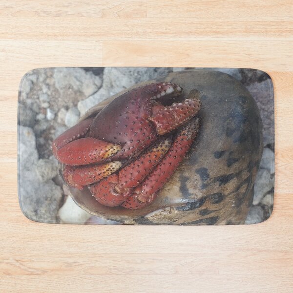 Item preview, Long Island Baha Soldier Crab designed and sold by SaSaBoutique.