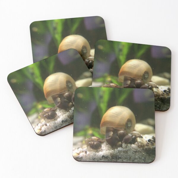 Item preview, Ramshorn Snail in an Aquarium designed and sold by Hazel Hall.