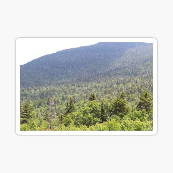 Green Mountains in the Distance Sticker