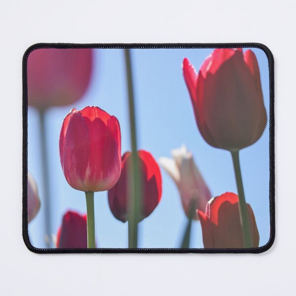 Item preview, Tulip Field 2 designed and sold by Rachael Martin.