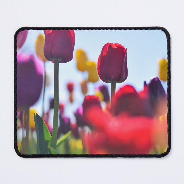 Item preview, Tulip Field 1 designed and sold by Rachael Martin.