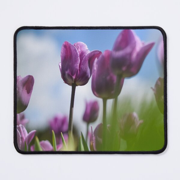 Item preview, Tulip Field 4 designed and sold by Rachael Martin.