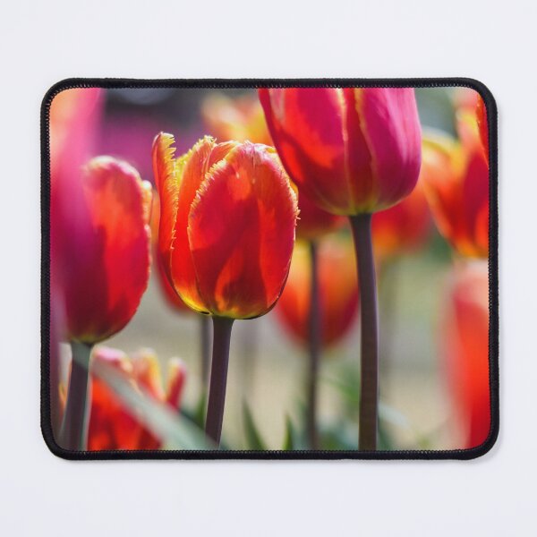 Item preview, Tulip Field 5 designed and sold by Rachael Martin.