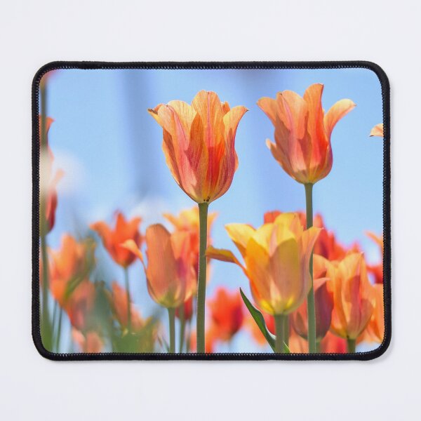 Item preview, Tulip Field 5 designed and sold by Rachael Martin.